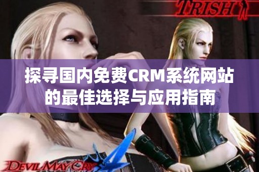 探寻国内免费CRM系统网站的最佳选择与应用指南