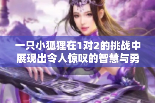 一只小狐狸在1对2的挑战中展现出令人惊叹的智慧与勇气