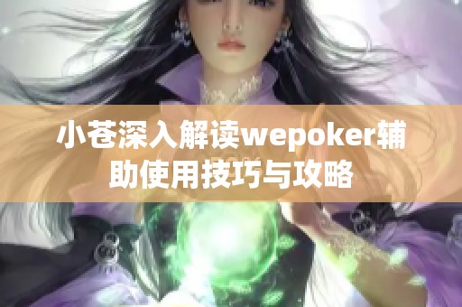 小苍深入解读wepoker辅助使用技巧与攻略