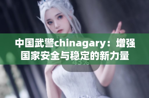 中国武警chinagary：增强国家安全与稳定的新力量