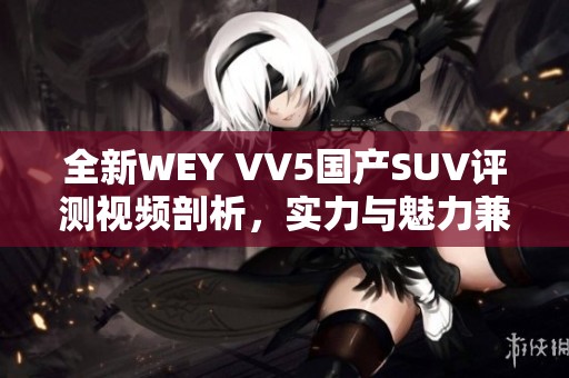 全新WEY VV5国产SUV评测视频剖析，实力与魅力兼具