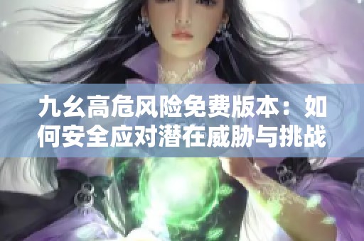 九幺高危风险免费版本：如何安全应对潜在威胁与挑战