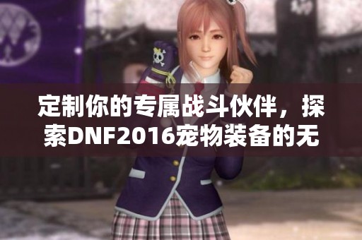 定制你的专属战斗伙伴，探索DNF2016宠物装备的无限可能