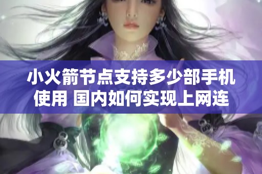 小火箭节点支持多少部手机使用 国内如何实现上网连接