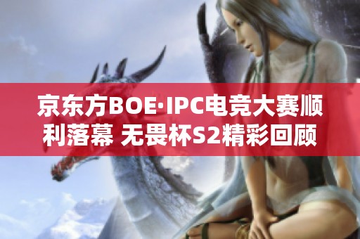 京东方BOE·IPC电竞大赛顺利落幕 无畏杯S2精彩回顾