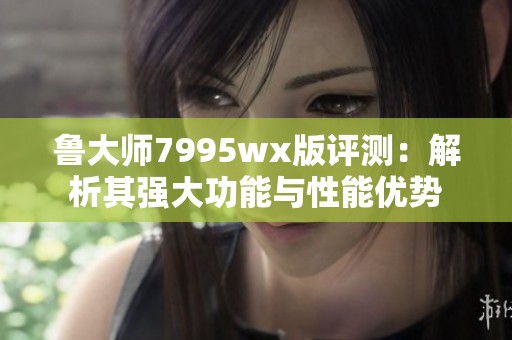 鲁大师7995wx版评测：解析其强大功能与性能优势