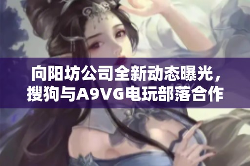 向阳坊公司全新动态曝光，搜狗与A9VG电玩部落合作升级