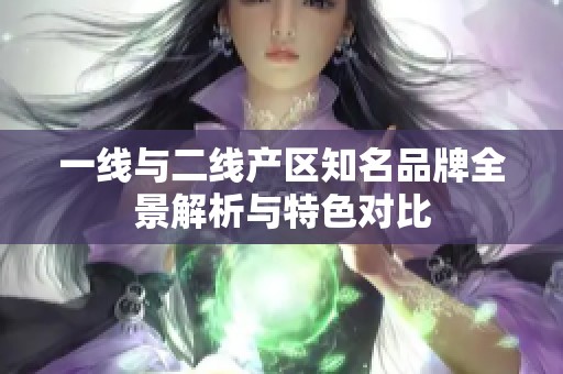 一线与二线产区知名品牌全景解析与特色对比