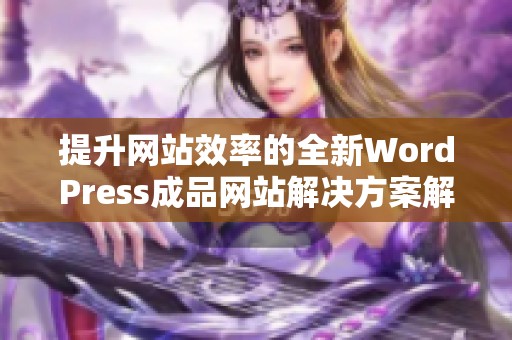 提升网站效率的全新WordPress成品网站解决方案解析