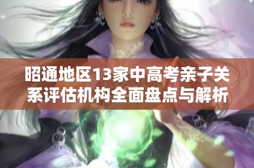 昭通地区13家中高考亲子关系评估机构全面盘点与解析