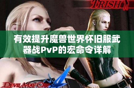 有效提升魔兽世界怀旧服武器战PvP的宏命令详解