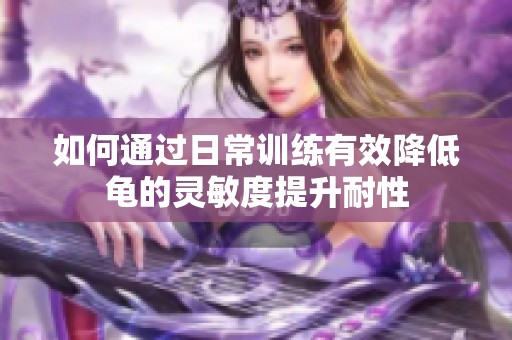 如何通过日常训练有效降低龟的灵敏度提升耐性