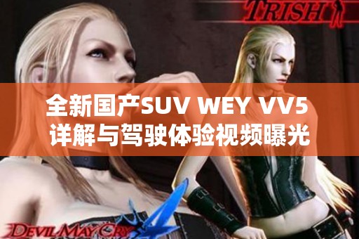 全新国产SUV WEY VV5 详解与驾驶体验视频曝光