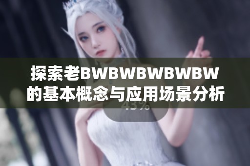 探索老BWBWBWBWBW的基本概念与应用场景分析