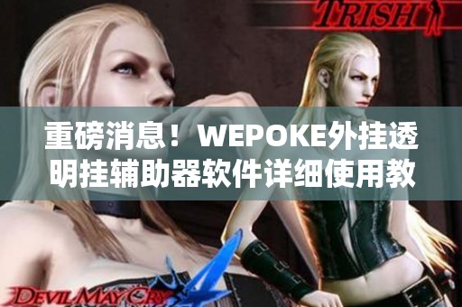 重磅消息！WEPOKE外挂透明挂辅助器软件详细使用教程解析