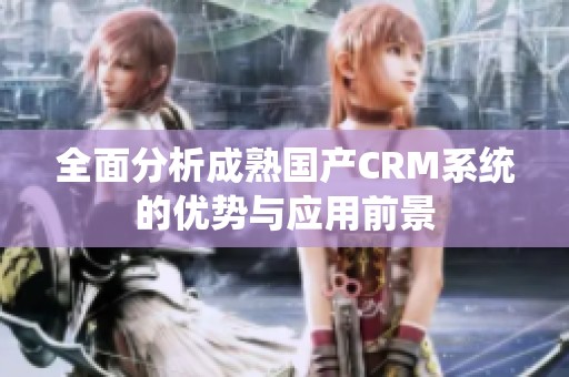 全面分析成熟国产CRM系统的优势与应用前景