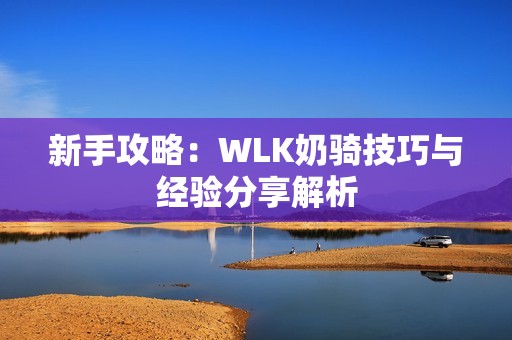 新手攻略：WLK奶骑技巧与经验分享解析