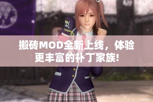 搬砖MOD全新上线，体验更丰富的补丁家族!