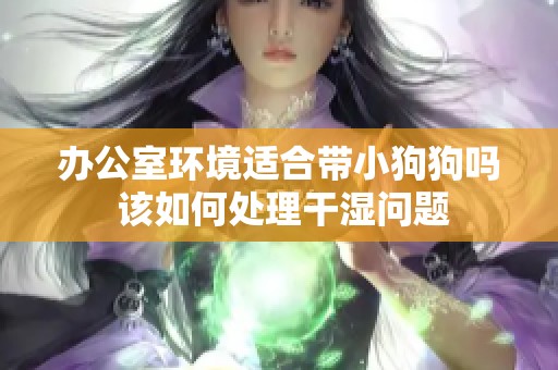 办公室环境适合带小狗狗吗 该如何处理干湿问题