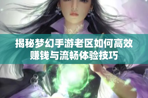 揭秘梦幻手游老区如何高效赚钱与流畅体验技巧