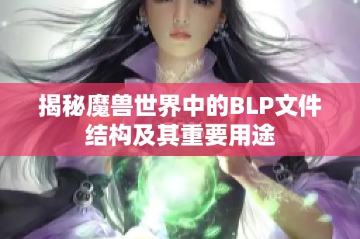 揭秘魔兽世界中的BLP文件结构及其重要用途