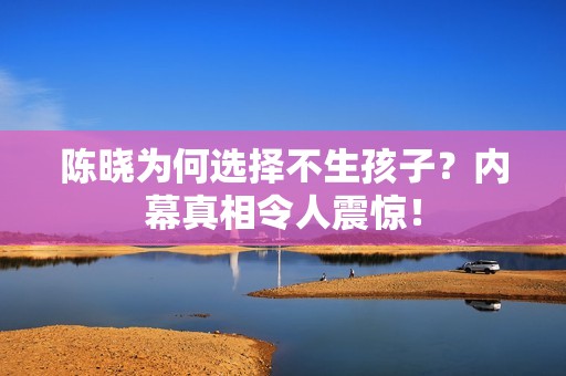 陈晓为何选择不生孩子？内幕真相令人震惊！