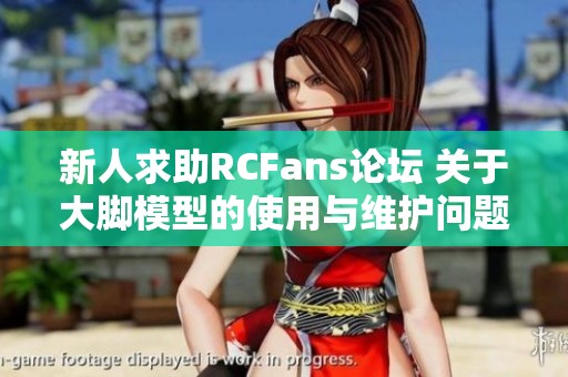 新人求助RCFans论坛 关于大脚模型的使用与维护问题