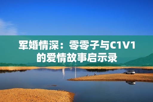 军婚情深：零零子与C1V1的爱情故事启示录