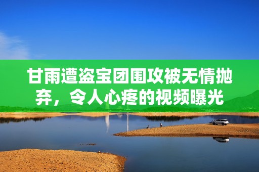 甘雨遭盗宝团围攻被无情抛弃，令人心疼的视频曝光