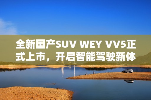 全新国产SUV WEY VV5正式上市，开启智能驾驶新体验