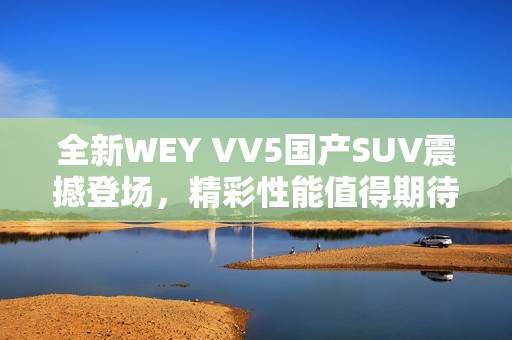 全新WEY VV5国产SUV震撼登场，精彩性能值得期待