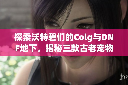 探索沃特碧们的Colg与DNF地下，揭秘三款古老宠物装备的魅力