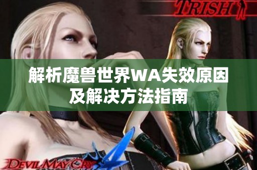 解析魔兽世界WA失效原因及解决方法指南