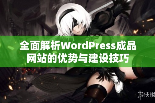 全面解析WordPress成品网站的优势与建设技巧