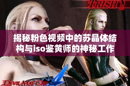 揭秘粉色视频中的苏晶体结构与iso鉴黄师的神秘工作