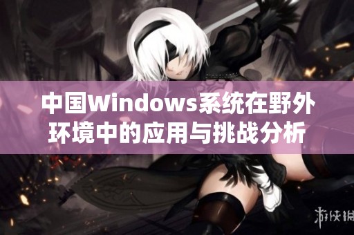 中国Windows系统在野外环境中的应用与挑战分析