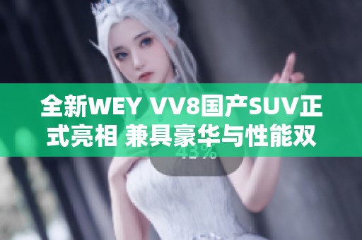 全新WEY VV8国产SUV正式亮相 兼具豪华与性能双重体验