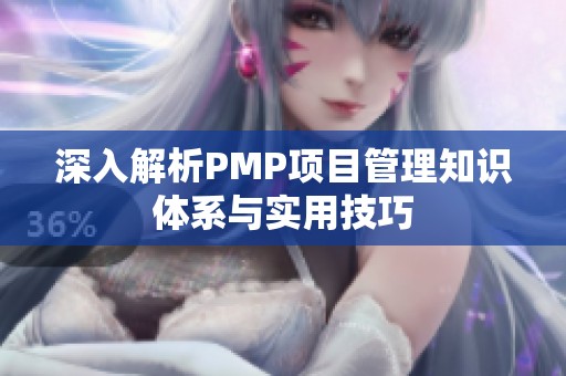 深入解析PMP项目管理知识体系与实用技巧