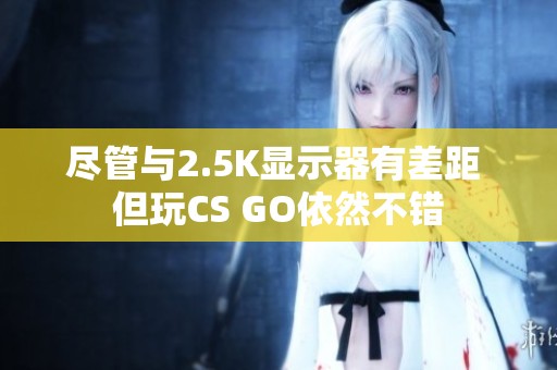 尽管与2.5K显示器有差距 但玩CS GO依然不错