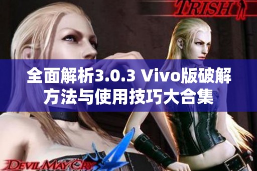 全面解析3.0.3 Vivo版破解方法与使用技巧大合集