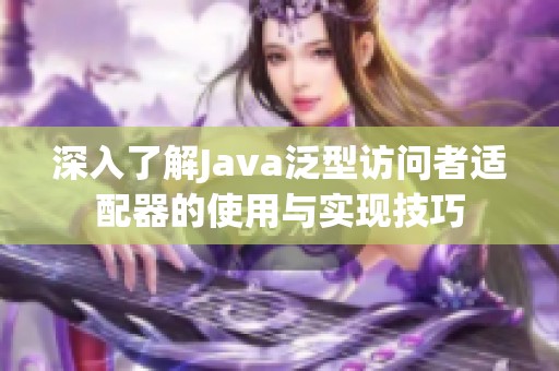 深入了解Java泛型访问者适配器的使用与实现技巧